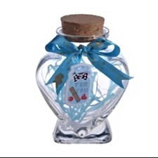 Mini Glass Jars Favor Storage