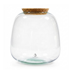 Bulb Glass Terrarium Jar 22 cm