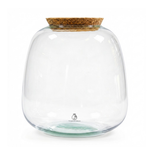 Bulb glass terrarium jar cm - bulb,