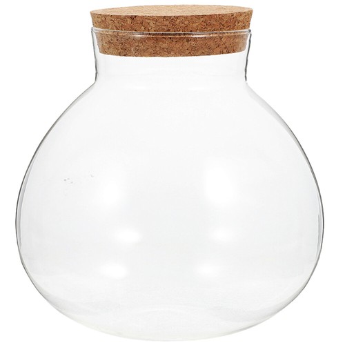 Terrarium jar bowl with - bowl,