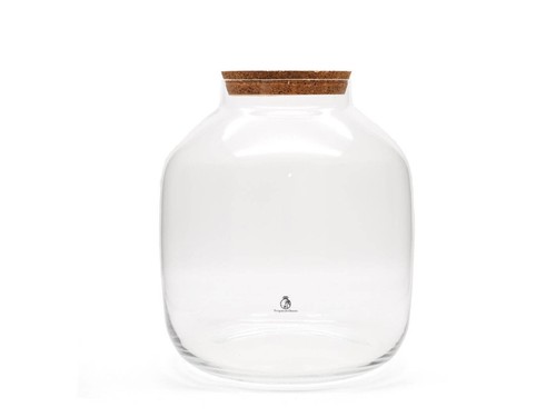 Terrarium glass with cork - terrarium,