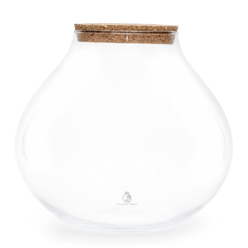 Large glass terrarium jar - glass,